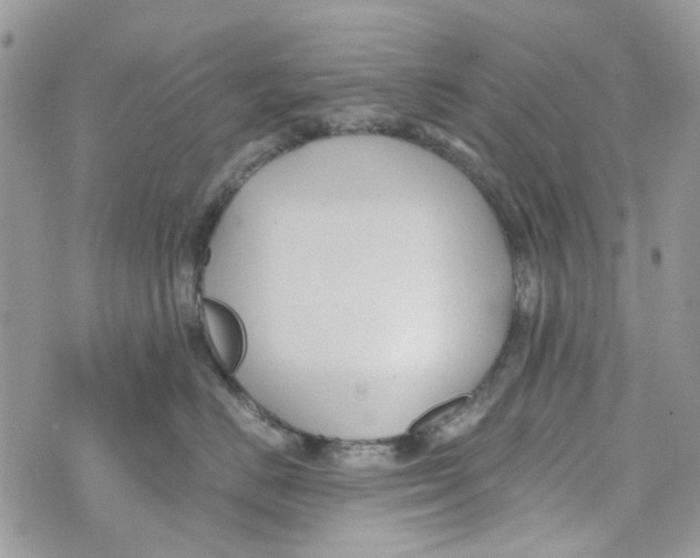 X0000071380670200607212214