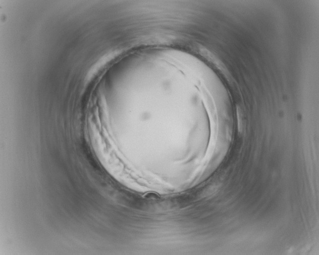 X0000071380675200607212213