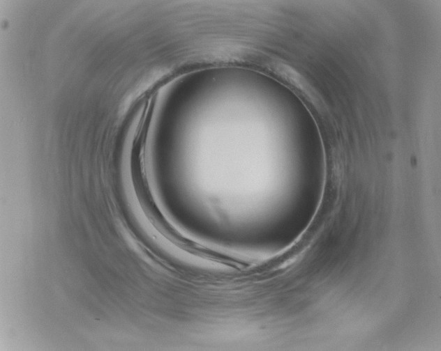 X0000071380677200607212213