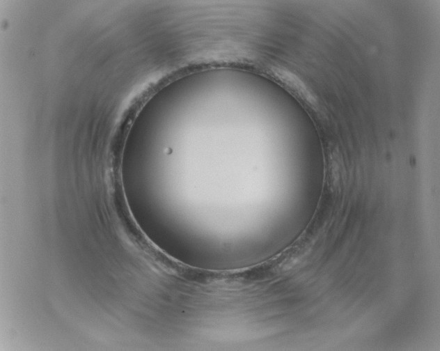 X0000071380680200607212213