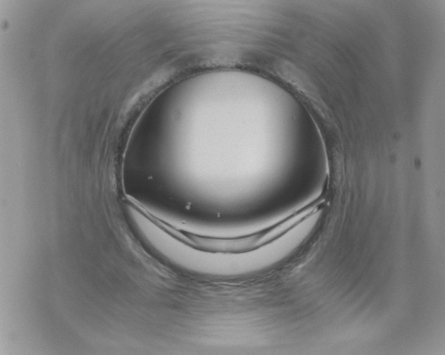 X0000071380681200607212213