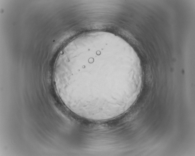 X0000071380683200607212213