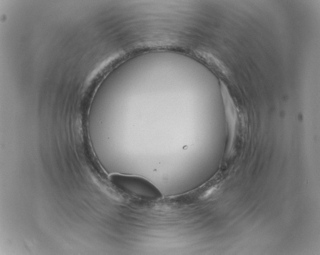 X0000071380684200607212213