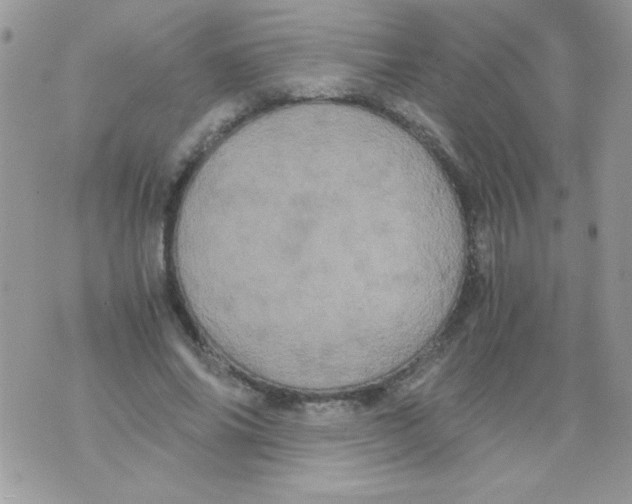 X0000071380686200607212213