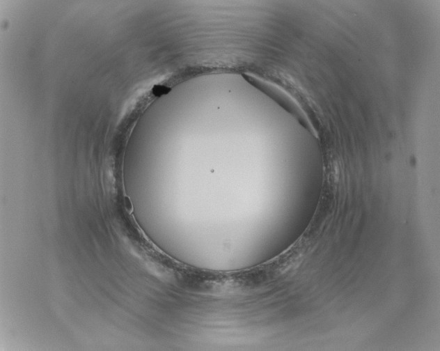 X0000071380688200607212213