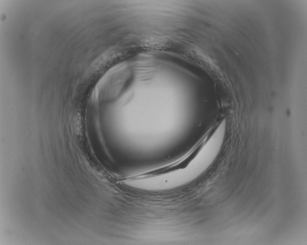 X0000071380689200607212213