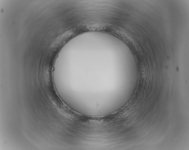 X0000071380690200607212213