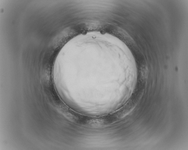 X0000071380691200607212213