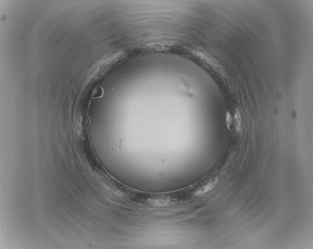 X0000071380693200607212213