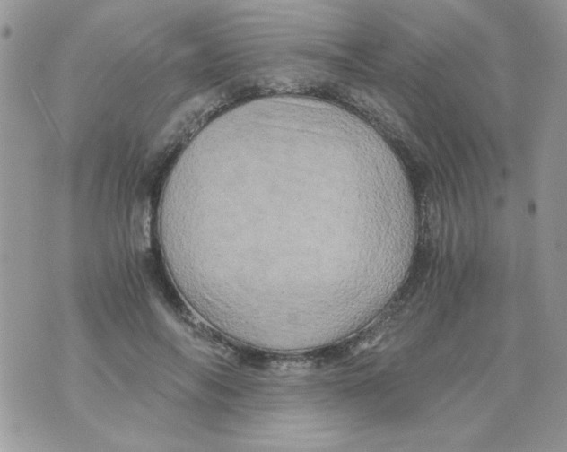 X0000071380694200607212213