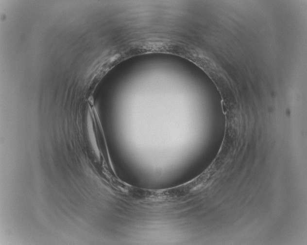 X0000071380696200607212213