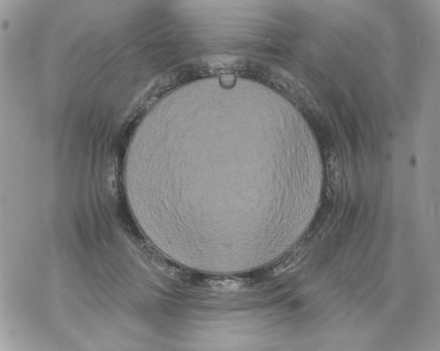 X0000071380698200607212213