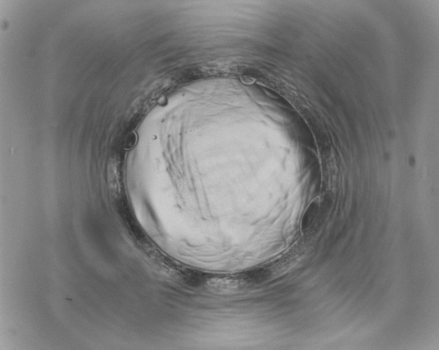 X0000071380699200607212213