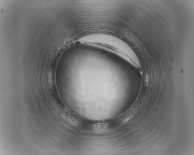 X0000071380700200607212213