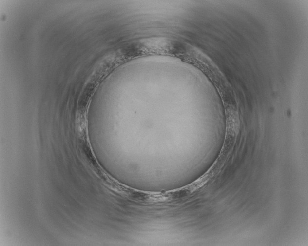 X0000071380701200607212213