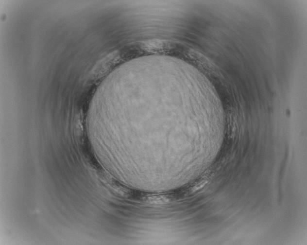 X0000071380702200607212213