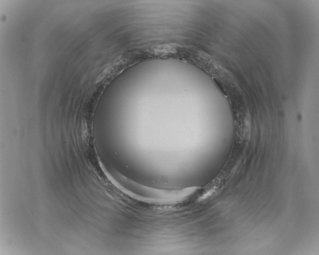 X0000071380704200607212213