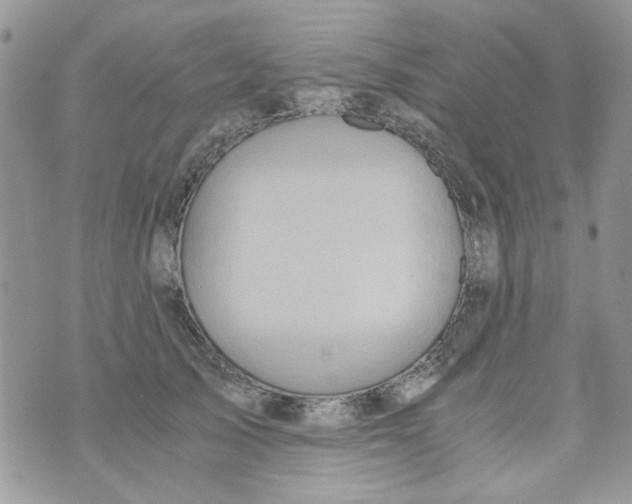 X0000071380705200607212213