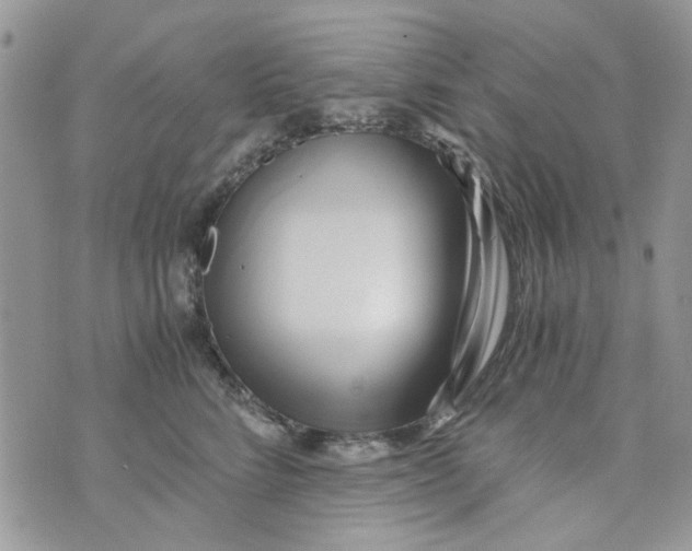 X0000071380712200607212212