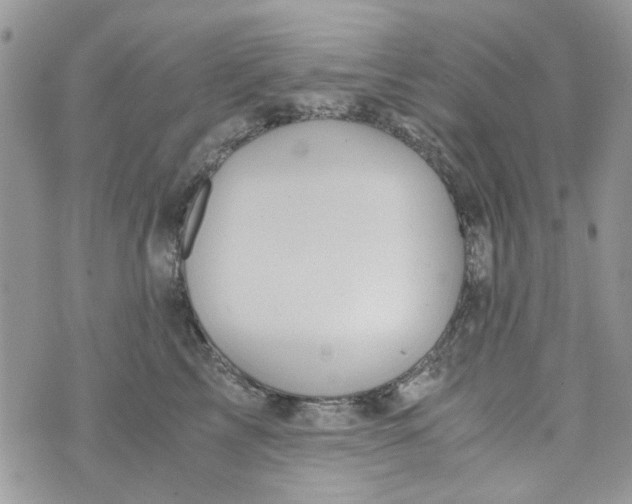 X0000071380713200607212212