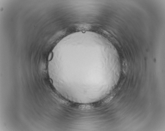 X0000071380714200607212212