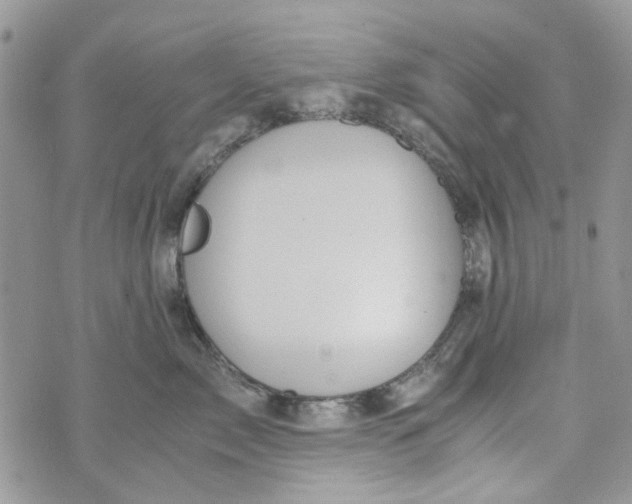 X0000071380717200607212212