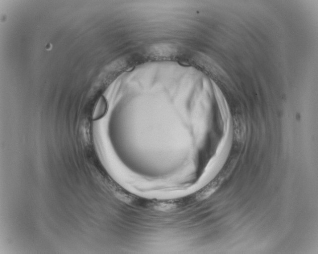 X0000071380718200607212212