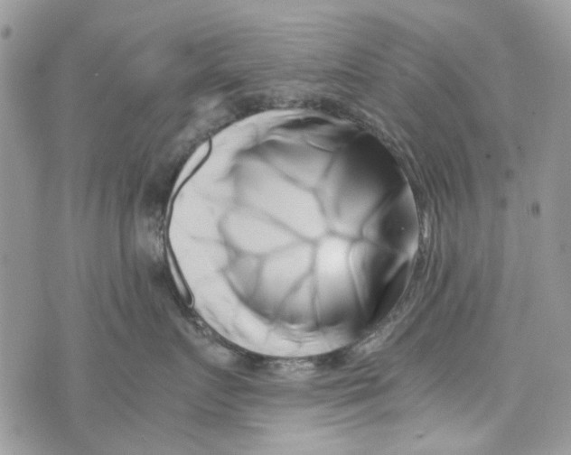 X0000071380719200607212212