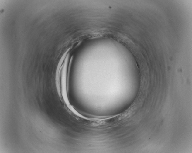 X0000071380720200607212212