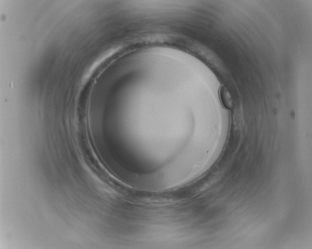 X0000071380722200607212212