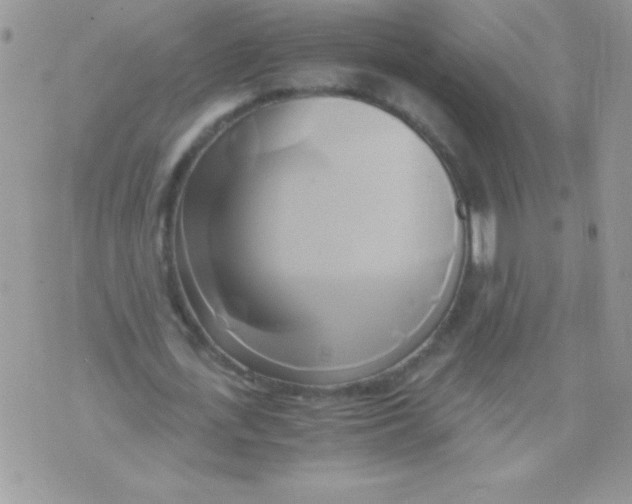 X0000071380723200607212212