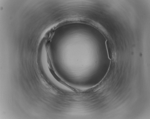 X0000071380724200607212212