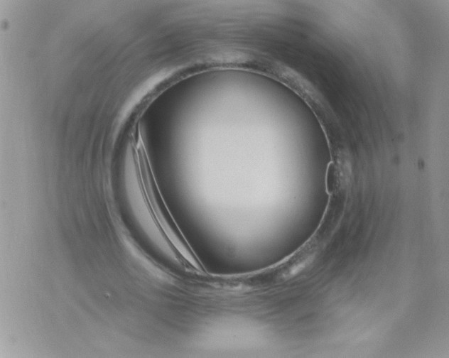 X0000071380726200607212212