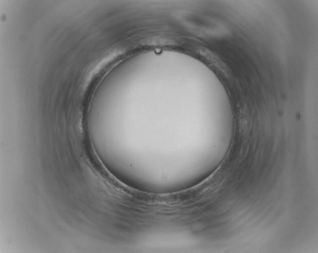 X0000071380727200607212212