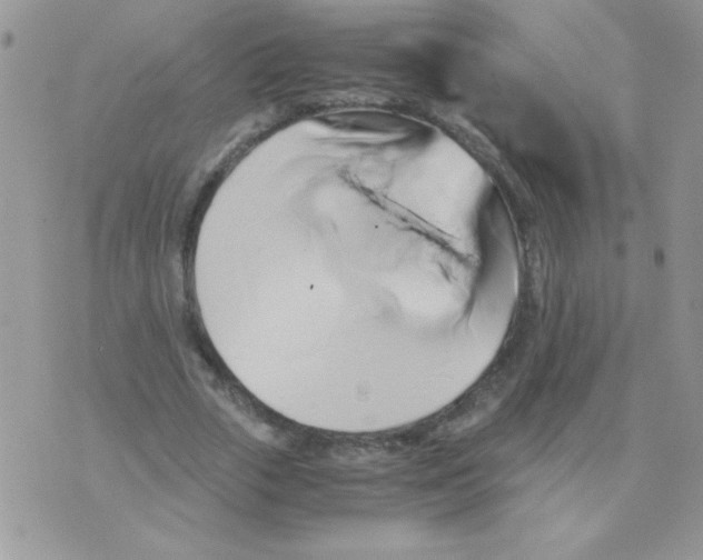 X0000071380729200607212212