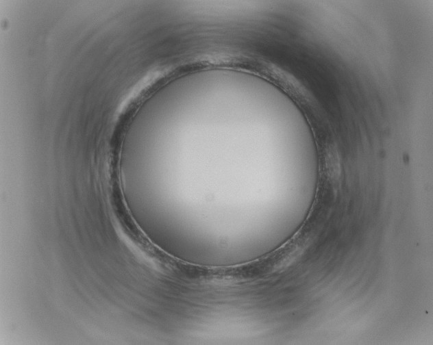 X0000071380730200607212212