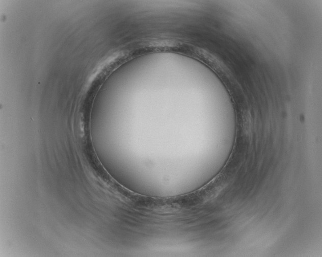 X0000071380731200607212212