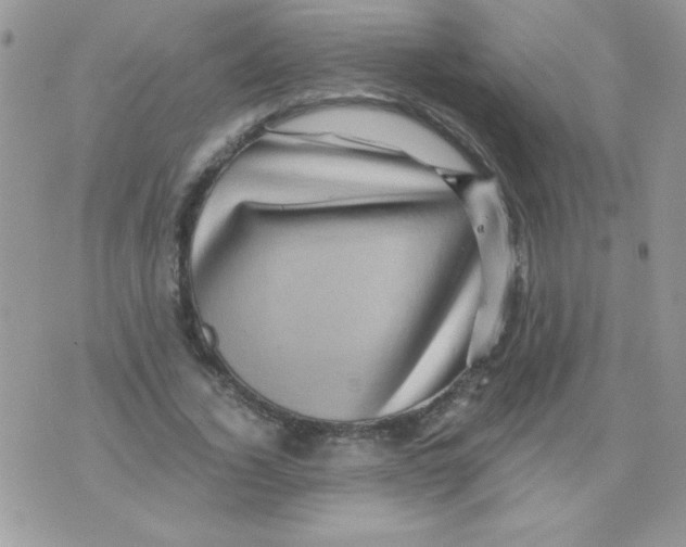 X0000071380732200607212212