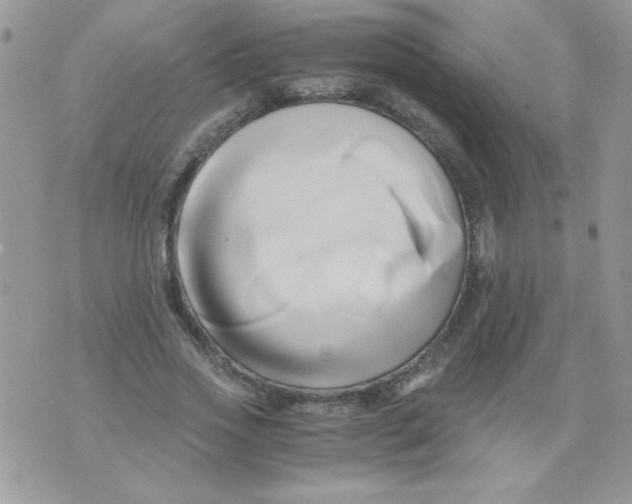 X0000071380733200607212212