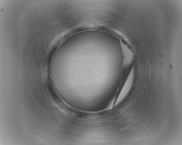 X0000071380736200607212212