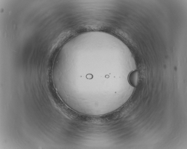 X0000071380738200607212212