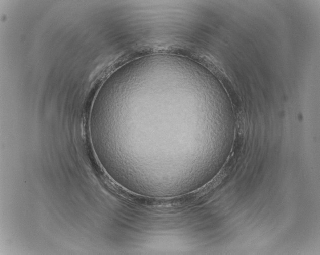 X0000071380740200607212212