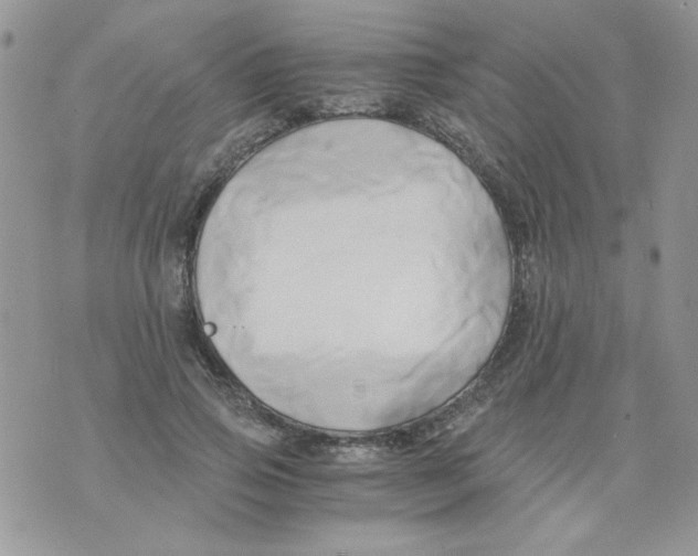 X0000071380741200607212212