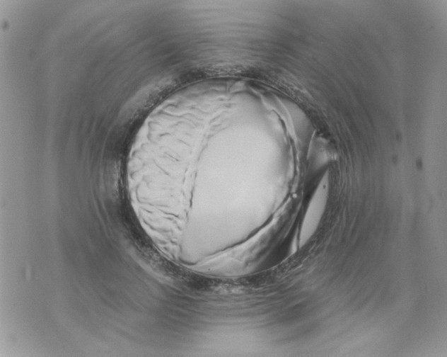 X0000071380742200607212212