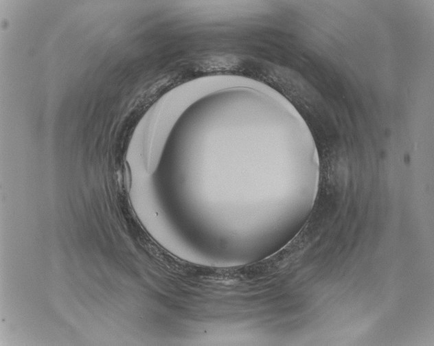 X0000071380743200607212212