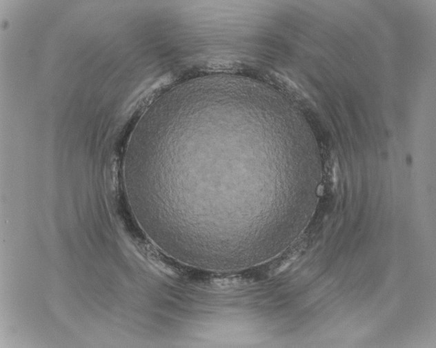 X0000071380744200607212212