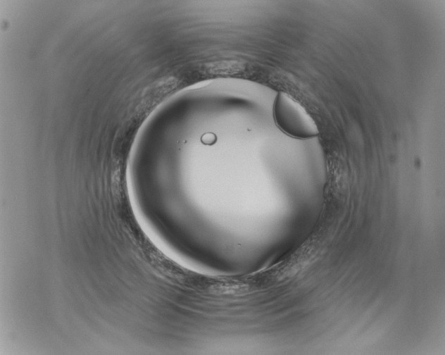 X0000071380745200607212212