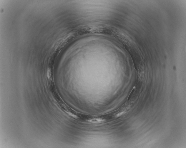 X0000071380748200607212212