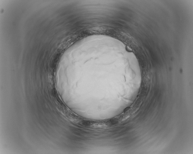 X0000071380749200607212212