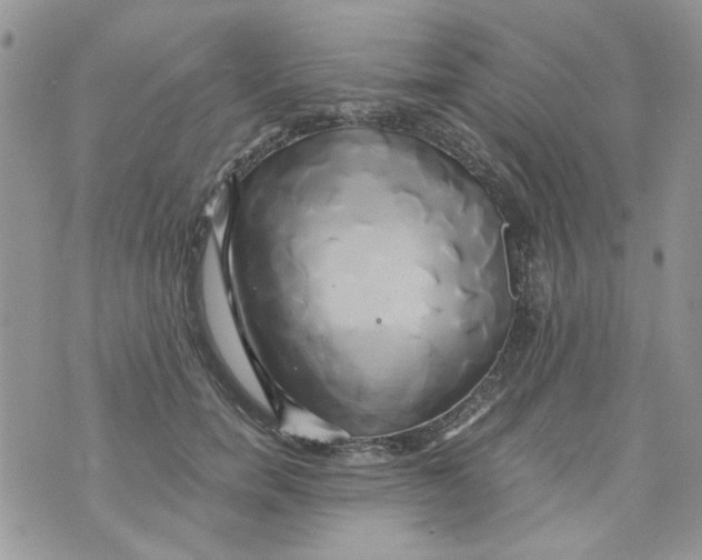 X0000071380750200607212212